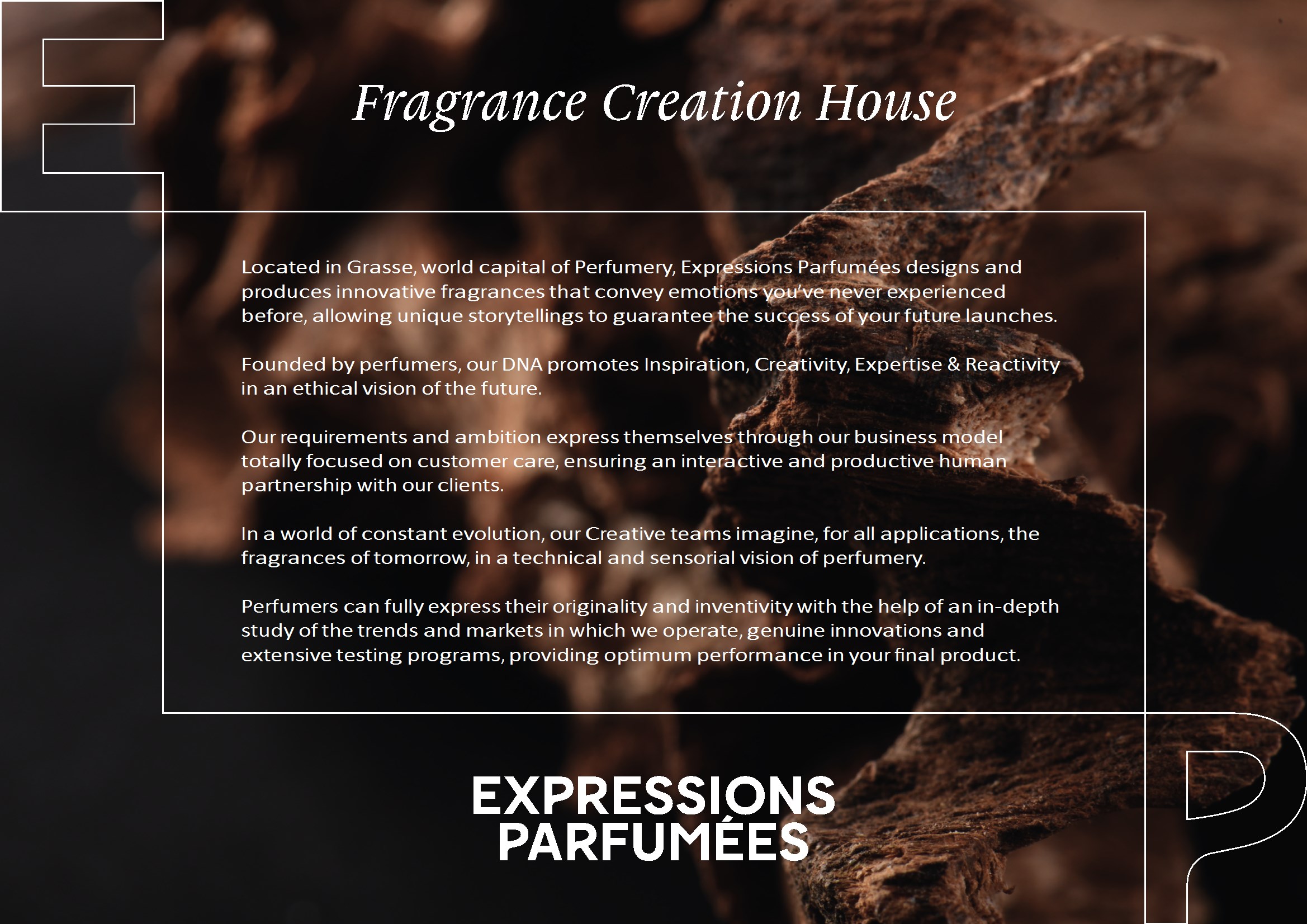 PROMOTIONALPAGEconv1