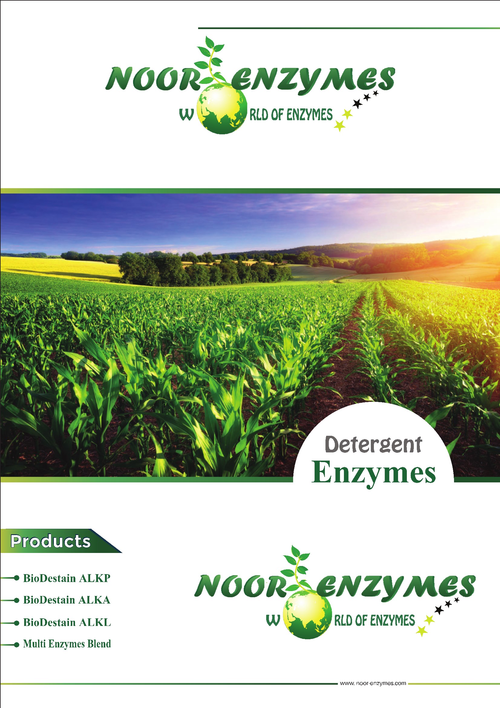 1_NOORDETERGENTENZYM...